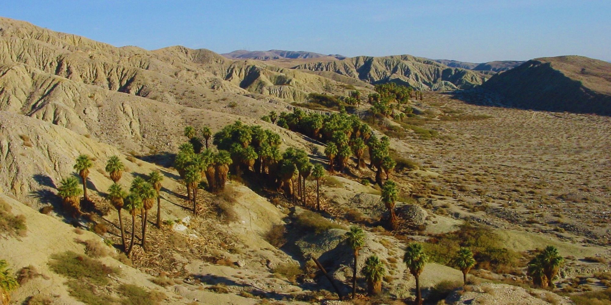 Go on a Hiking Adventure in Coachella Valley Preserve